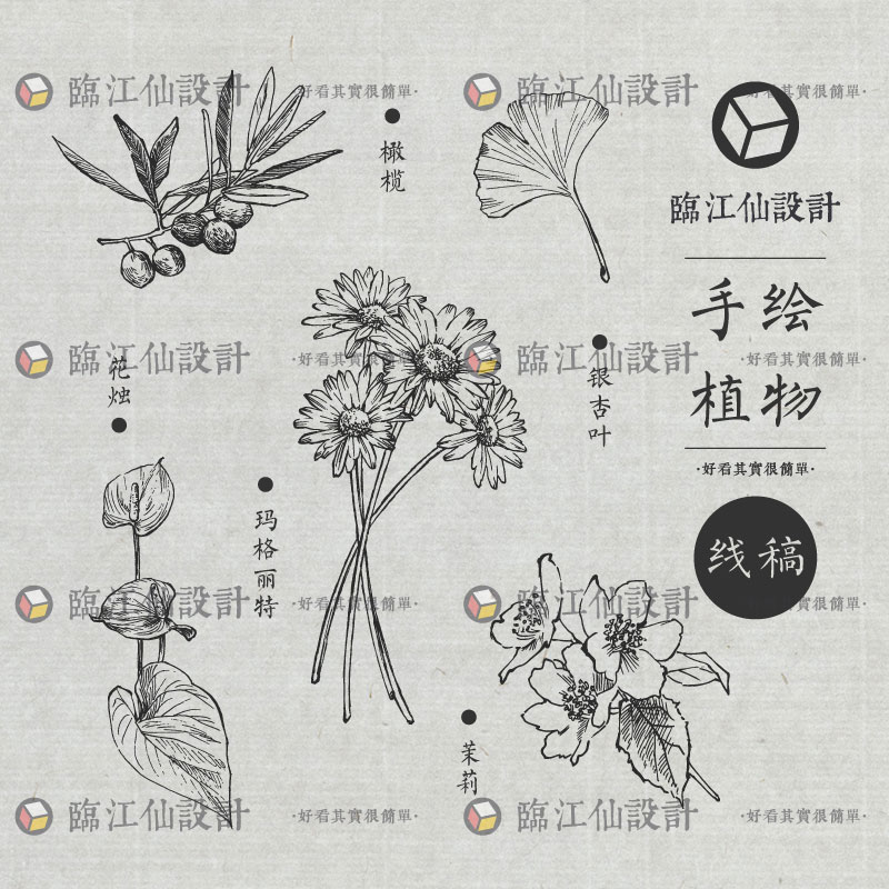 植物线稿png素描手绘樱花水仙菊花卉化妆品包装海报矢量设计素材