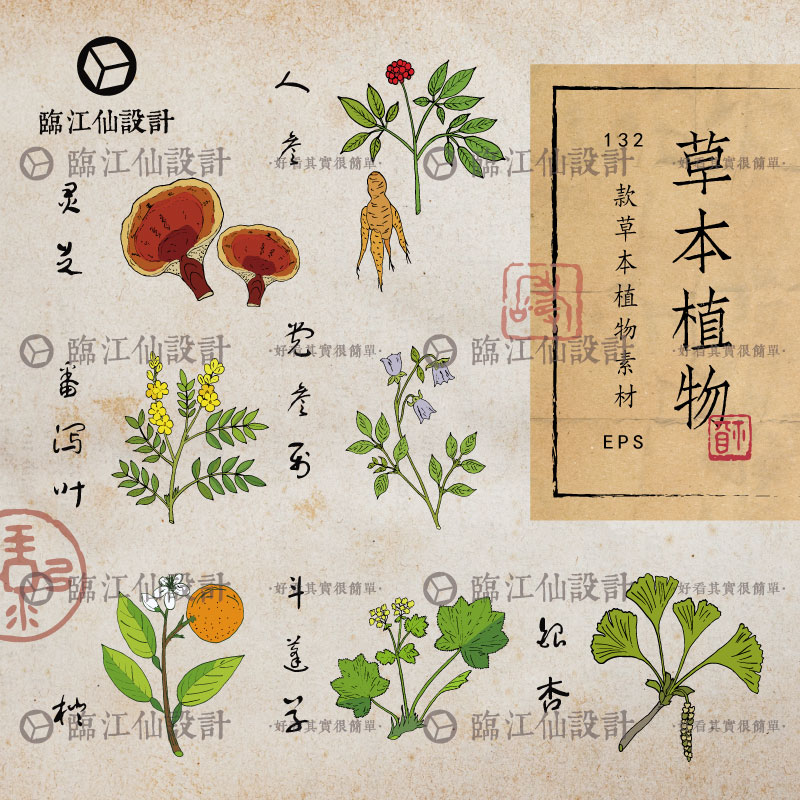 手绘草本植物草药中药花草彩色绘画矢量包装PNG透明图案设计素材