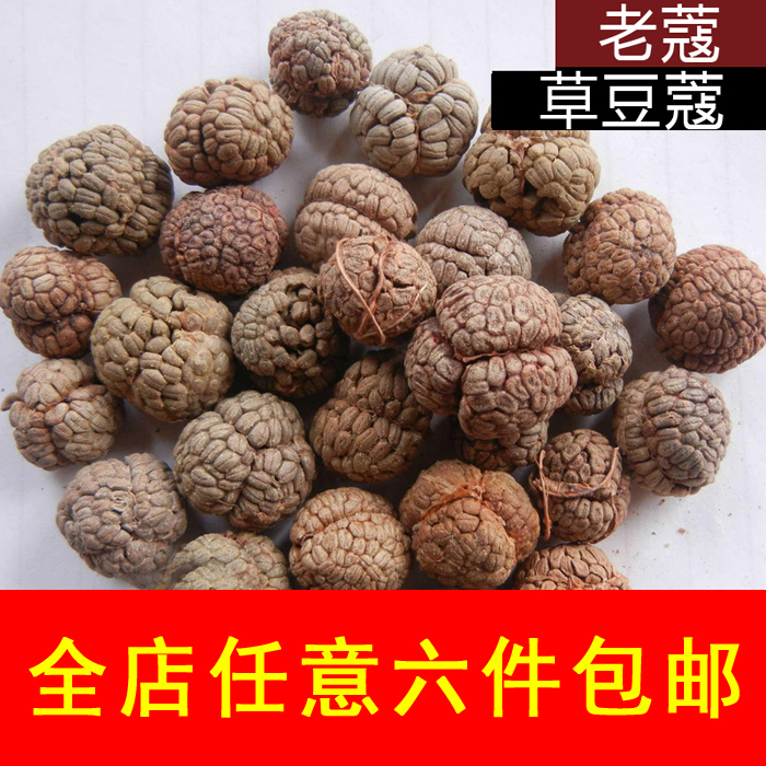 草寇仁50g 草豆蔻 老寇 草扣 大草寇 炖肉煮卤料 香料调料