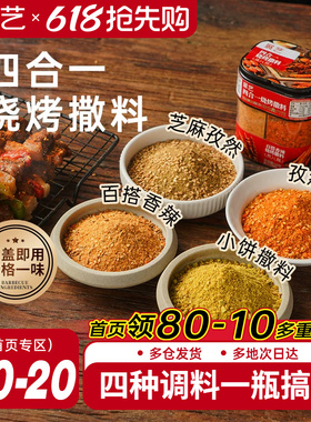 展艺四合一烧烤撒料家庭调味料家用孜然辣椒烤肉蘸料牛羊肉串撒料