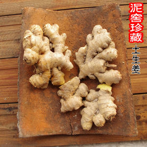 生姜老姜 小黄姜蔬菜配料农家土姜自制姜汁洗发水5斤窖藏母姜包邮