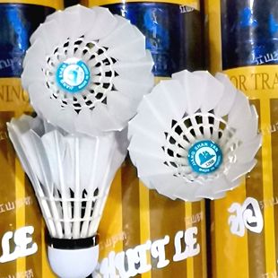 江山燕正品耐打基础版1.0俱乐部用球稳定室内一个顶三训练羽毛球