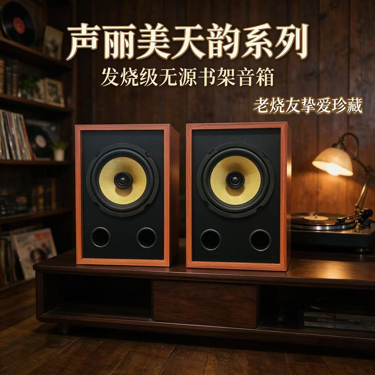 RULANDS声丽美品牌T6发烧级6.5寸同轴无源HIFI音箱音响书架箱