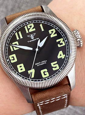 Tandorio飞行员不锈钢200米防水NH35 PT5000自动男士潜水手表绿色