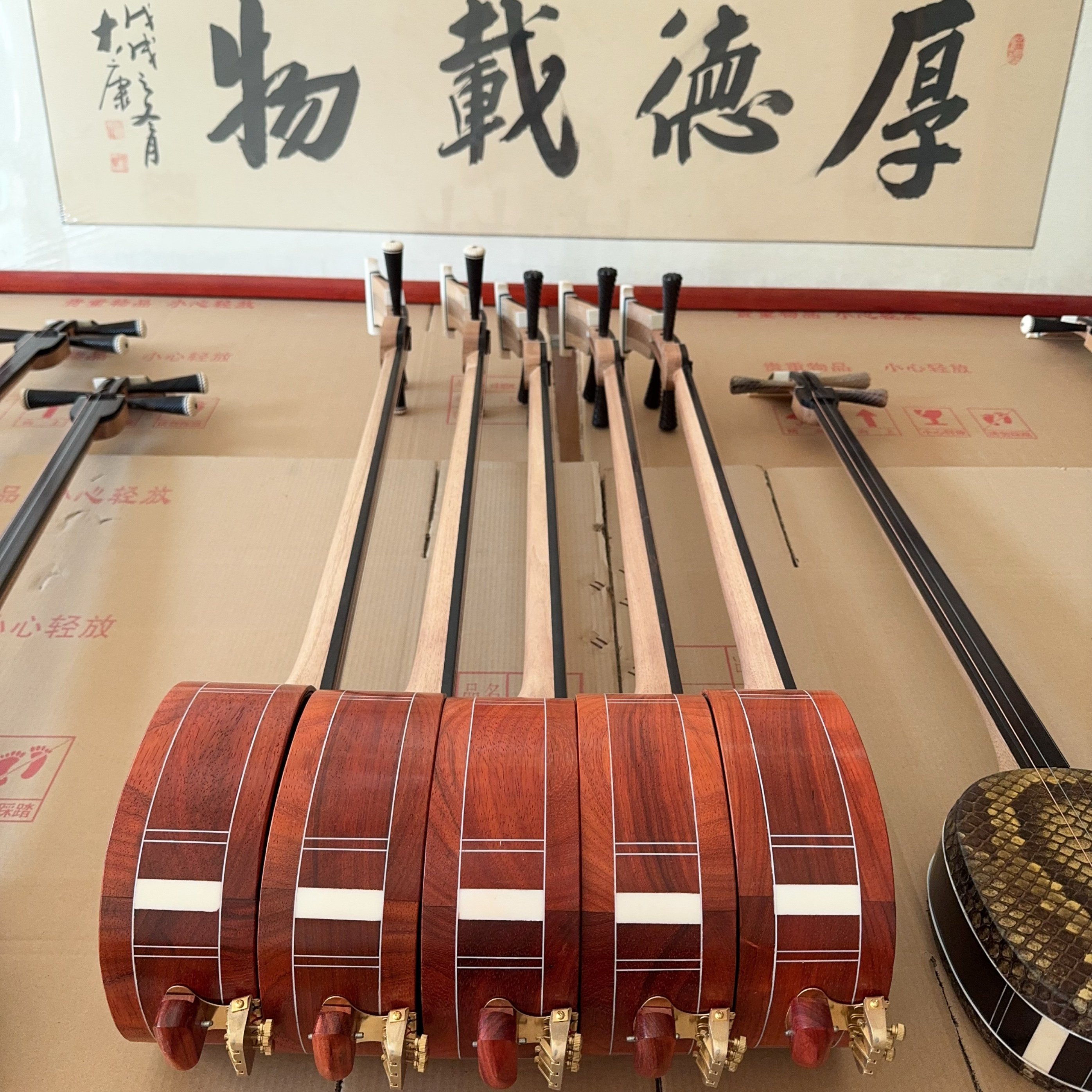 三弦乐器 鼓包皮三弦初学者演奏成人专业考级民族弹拨乐器全木鼓