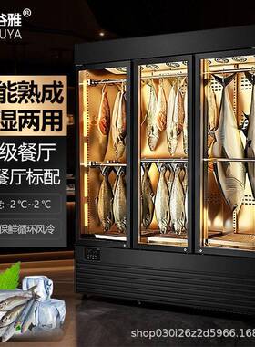 风冷干式深海鱼牛肉牛排熟成柜餐厅商用恒温恒湿排酸柜冷冻冷藏柜