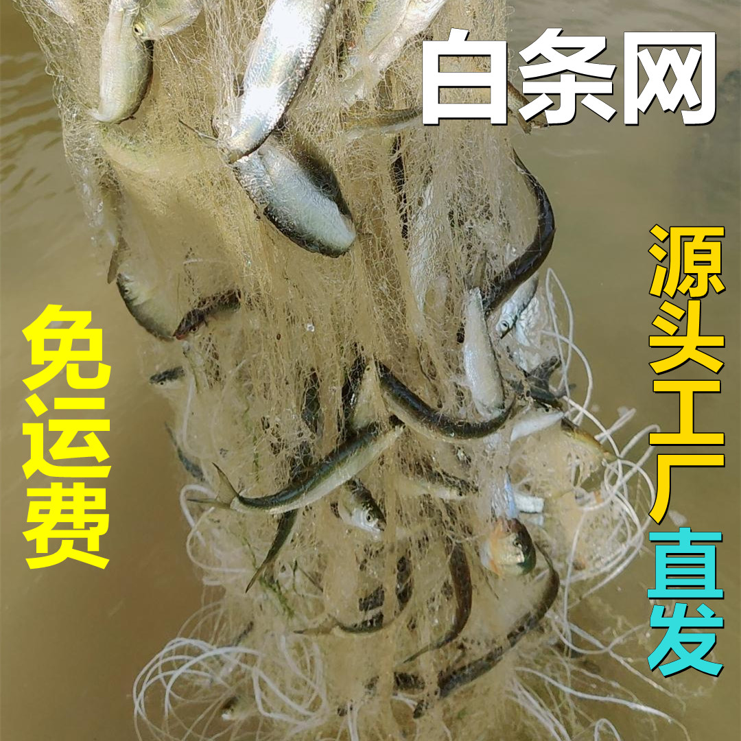 白条白条粘网单层浮网餐鱼网丝网