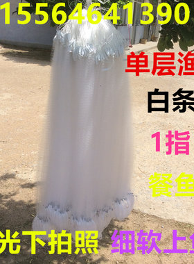 单层浮网沉网渔网粘网挂网捕鱼网
