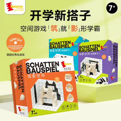 Dusyma筑影空间思维训练立体投影积木7-12岁儿童游戏木质玩具教具