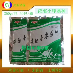 渔经浓缩小球藻水产养殖肥水培藻鱼虾塘有益藻250g包厂家直发优惠