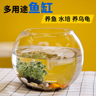 透明玻璃鱼缸小型金鱼缸家用造景圆形小鱼缸客厅办公桌迷你乌龟缸