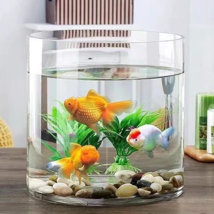 透明玻璃圆柱直筒鱼缸桌面生态小型金鱼缸造景水培养鱼养龟两用