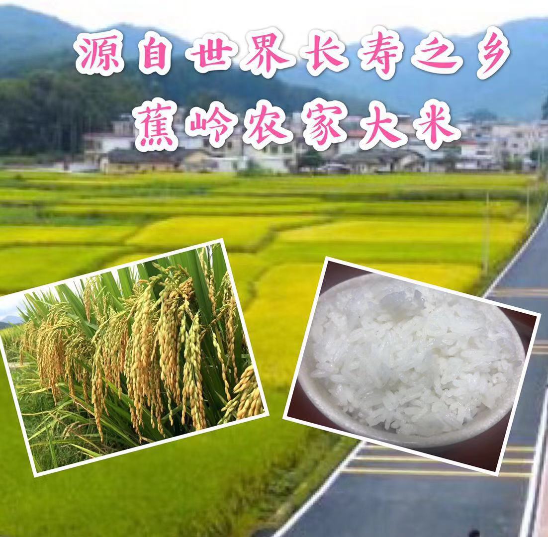 梅州特产蕉岭客家农家自种非转基因大米散装米5斤包邮