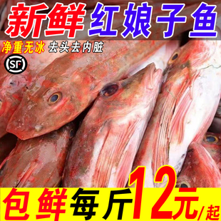 红娘鱼新鲜红娘子鱼无头鱼红鱼红头鱼已去头去内脏免处理鲜活速冻