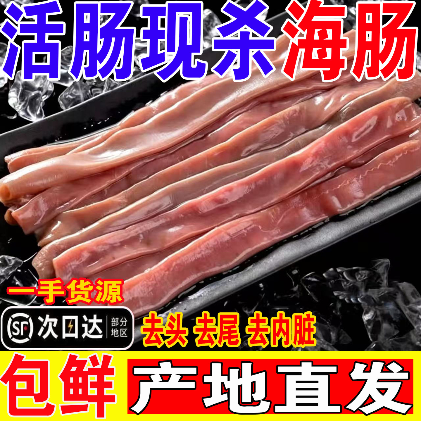 鲜活海肠新鲜速冻沙虫海捕