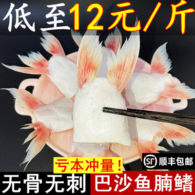 巴沙鱼鱼腩鱼鳍肥油肚腩商用海鲜