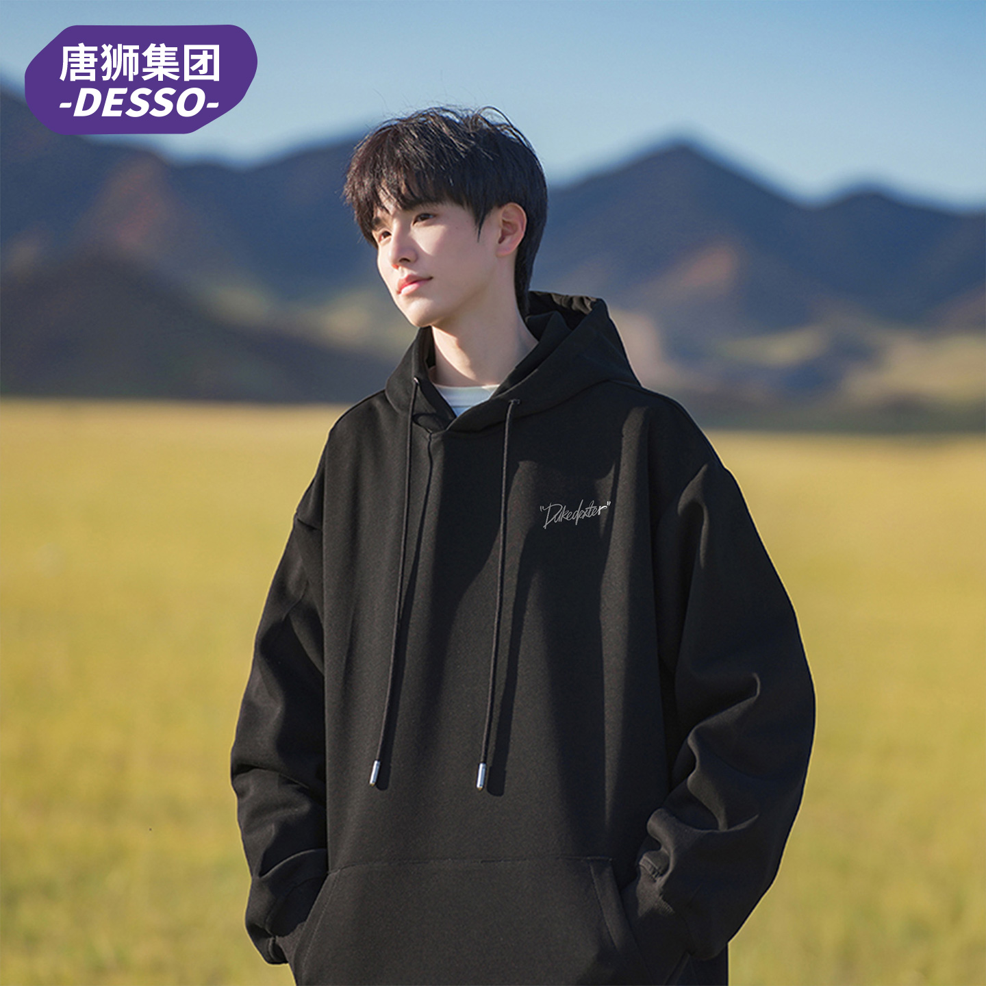 唐狮集团DESSO休闲连帽卫衣