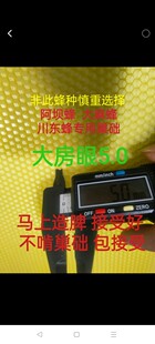 巢础 阿坝蜜蜂大麻蜂专用大眼巢础4.9大房眼纯蜂蜡巢础巢脾定制版