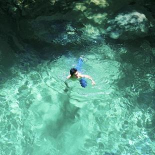 She Her Her Hers/专辑封面乐队海报宿舍卧室印刷墙面家居装饰画