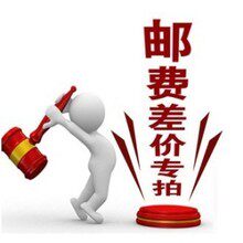 一元拍