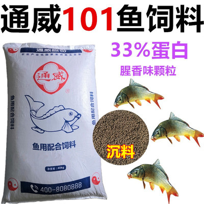 通威鱼饲料养殖鲤鱼颗粒高蛋白