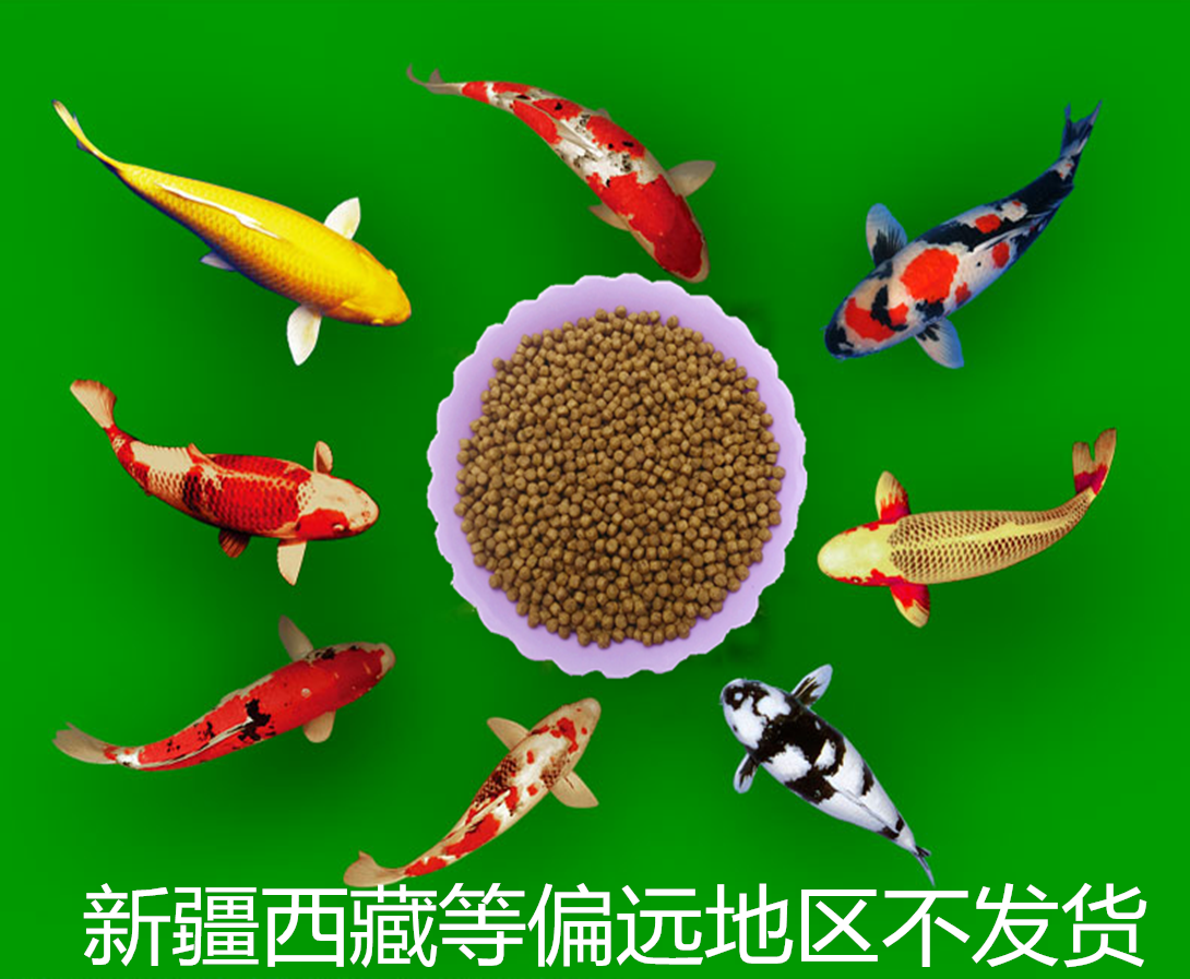 通威153浮水颗粒鱼饲料高蛋白锦鲤饲料增体鲫鱼鲤鱼金鱼鱼食鱼粮,宠物/宠物食品及用品,观赏鱼饲料,淘宝优惠券,粉丝福利购,淘宝优惠卷
