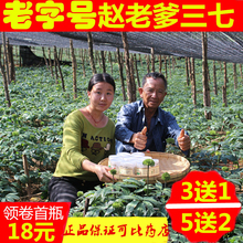 云南文山30头三七粉赵老爹代磨粉春破壁超细正品 仿野生农家田七粉