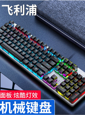 飞利浦吃鸡电竞游戏机械键盘（真机械青轴)炫彩混光104键金属面板