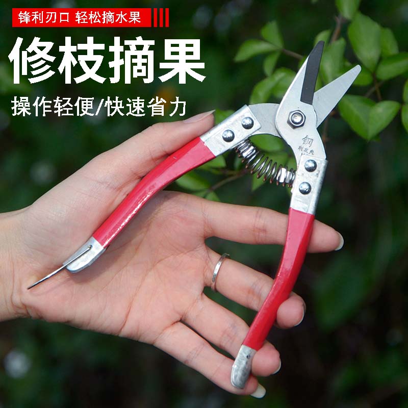 锋利款不锈钢果剪刀柑橘剪摘果剪