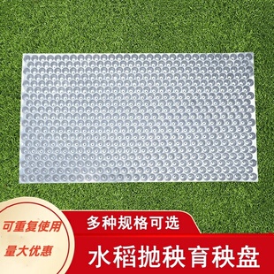 塑料水稻育秧盘9寸机插平盘塔式手抛稻苗秧盘谷物育苗盆透明434孔