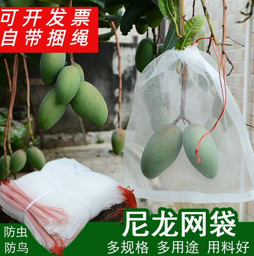 防虫网水果套袋果实网袋防虫防鸟