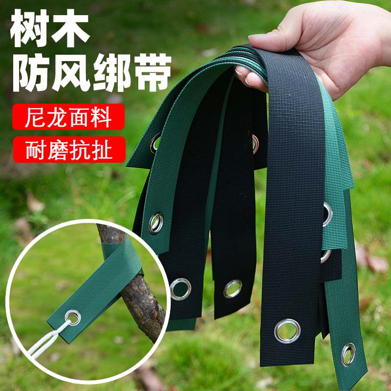 树木防风绑带树带苗木防台风防倒