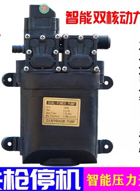 12伏智能水泵带压力开关12V关枪停机喷雾器打药洗车浇花果园撒水