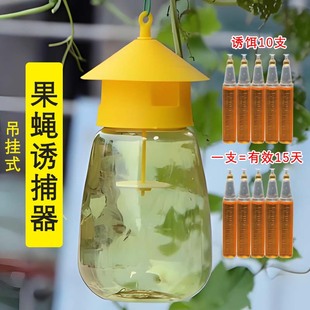 果蝇诱捕器果园菜地瓜果实蝇针蜂 果蝇引诱剂内含捕抓器诱剂包邮