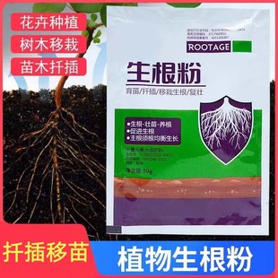快速生根粉植物通用生根剂树木绿萝花卉移栽强力发根剂液长根粉剂