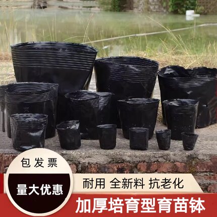 育苗营养杯育苗袋大号一次性花盆黑色种植塑料育苗杯育苗盆营养钵