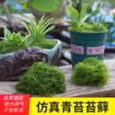 仿真苔藓草皮假青苔微景观假山石头摆件草坪园艺盆景铺面绿化造景