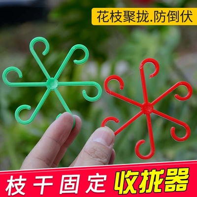 龟背竹支撑固定器防倒伏春羽支架