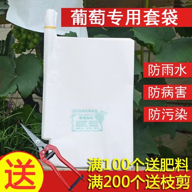 葡萄专用套袋防雨防虫保护袋