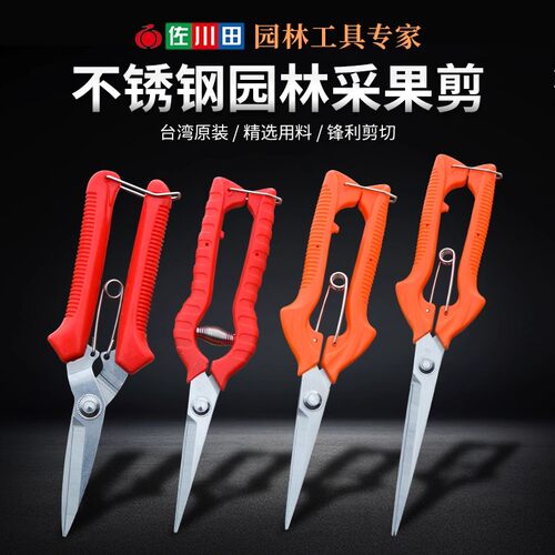 加长摘葡萄剪刀不锈钢果园摘花椒