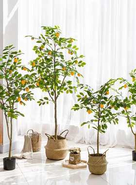 大型仿真柠檬树盆栽家居落地长枝叶带果客厅装饰摆件果树