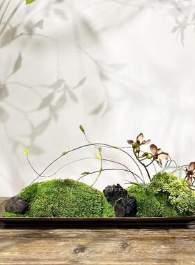 新中国风现代永恒苔藓花卉装饰盆景微型景观样板房销售办公室餐厅