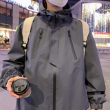 紫罗兰