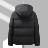 男士短款羽绒服冬季保暖爸爸中老年冬装时尚立领外套HL23127-P240，男装羽绒服，星座1206（原A206）