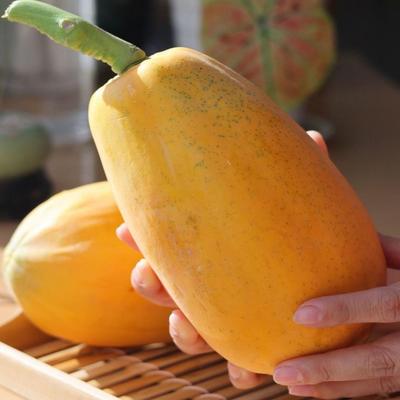 海南红心木瓜树上熟冰糖牛奶木瓜银耳雪蛤炖木瓜树上熟产新鲜孕妇