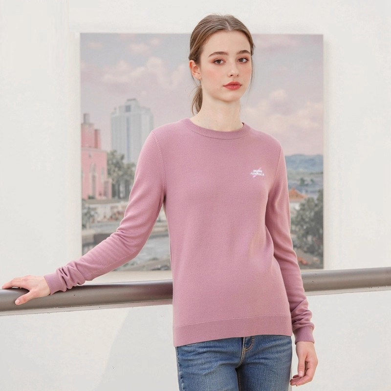 【H家】撤标撤柜！2025秋款女士经典时尚简约绣花圆领净色针织衫