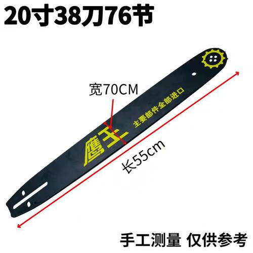 鹰王手持式直流中国导板德国进口
