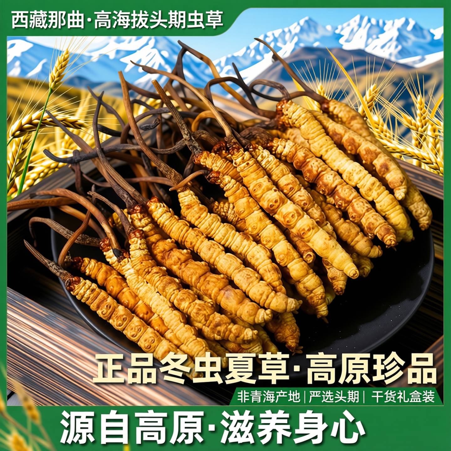 西藏那曲冬虫夏草正品高海拔头期虫草干货礼盒装非青海冬虫夏草