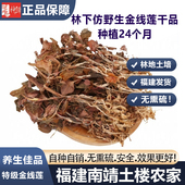正宗仿野生金线莲干货整株开花金线莲福建南靖24个月金线莲礼盒装