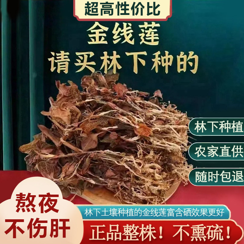 正宗金线莲干货50g福建南靖林下原生态特级整株金线莲仿野生无硫